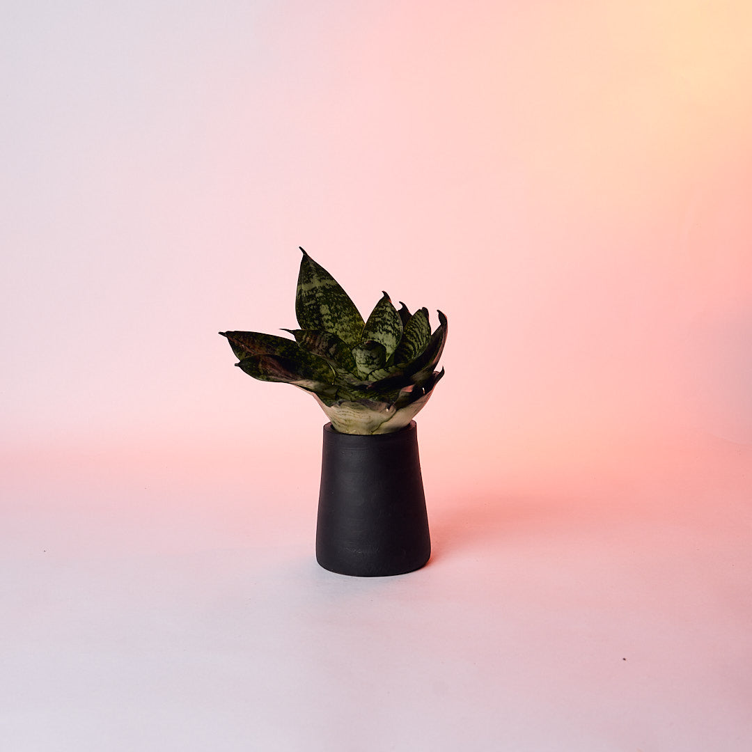 Conical Desk Planter | Terracotta