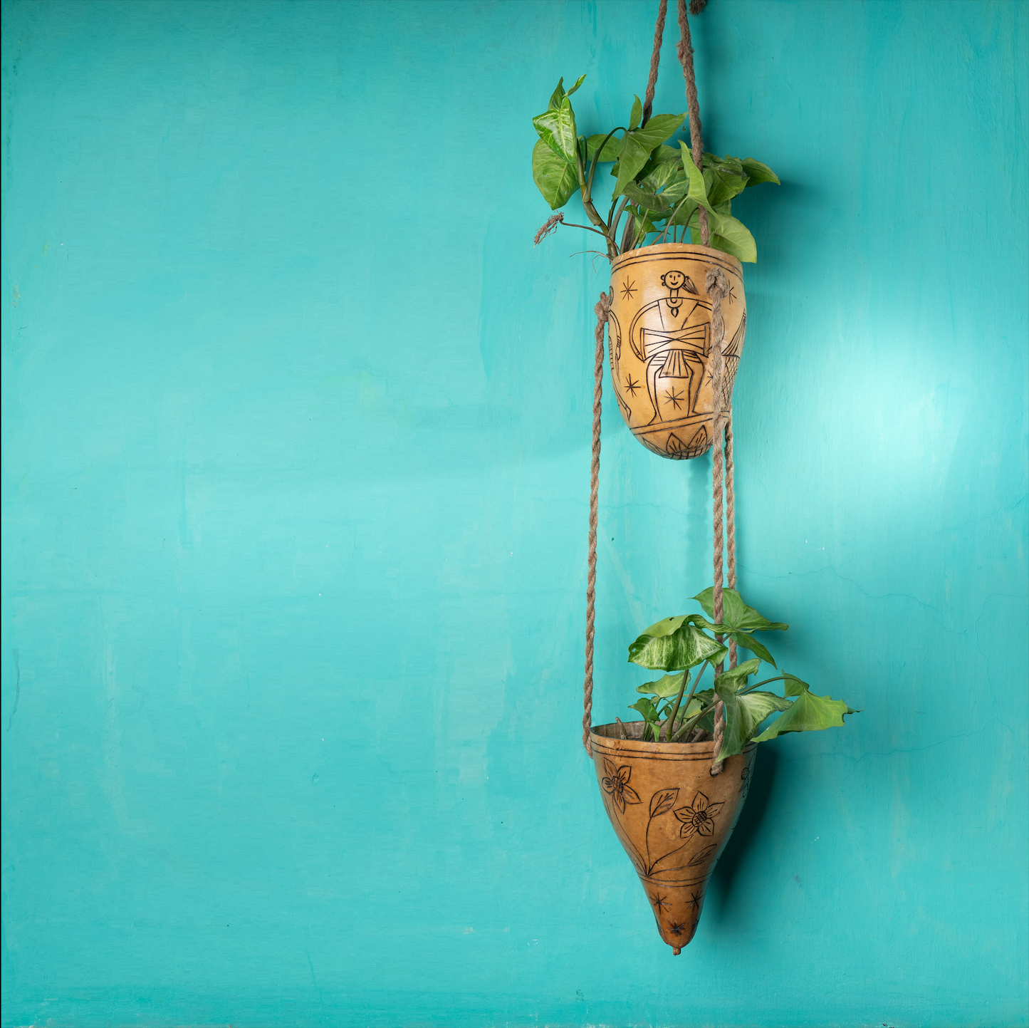 Tumba Art Two Layer | Dried Bottle Gourd | Eco Gardening