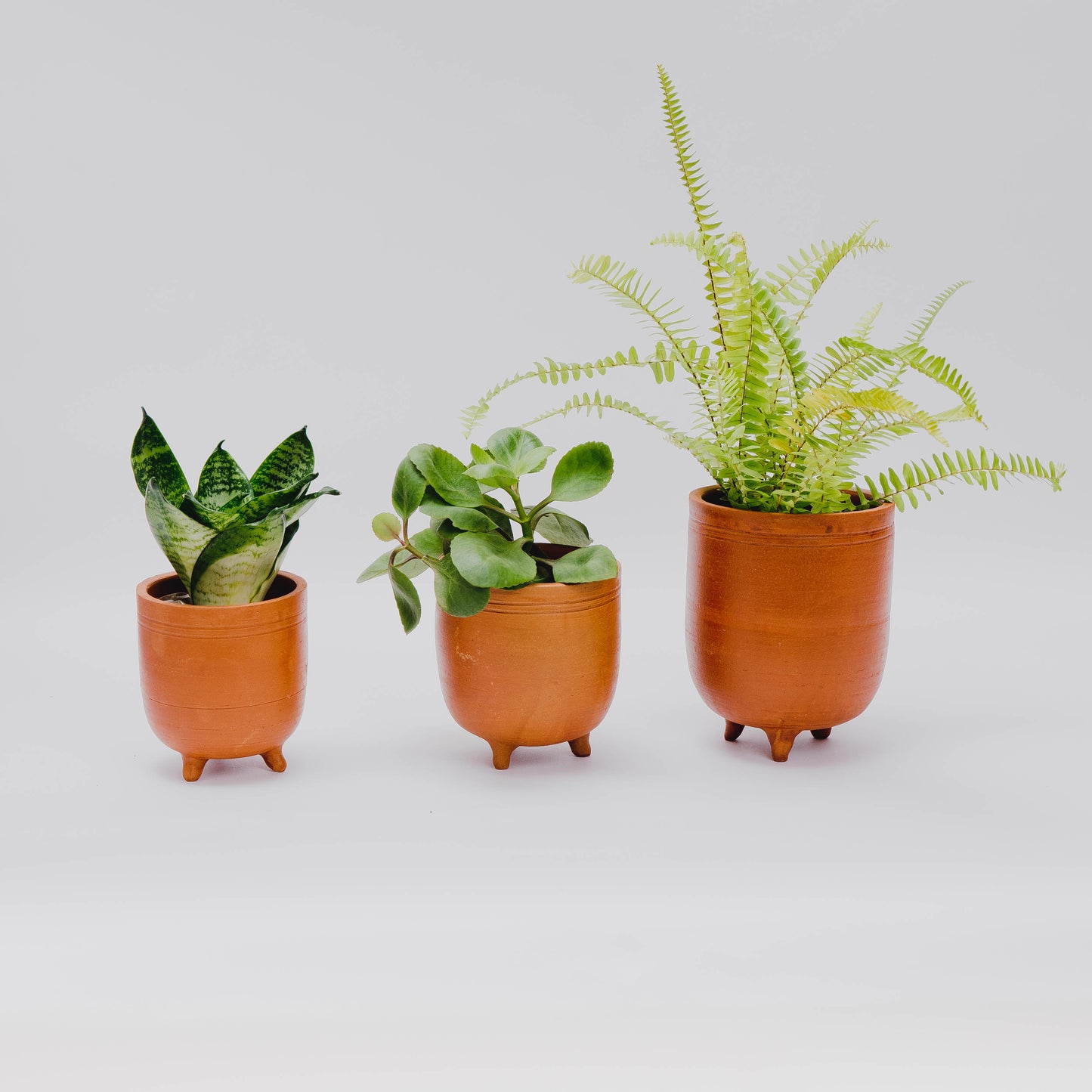 Terracotta Planter set of 3
